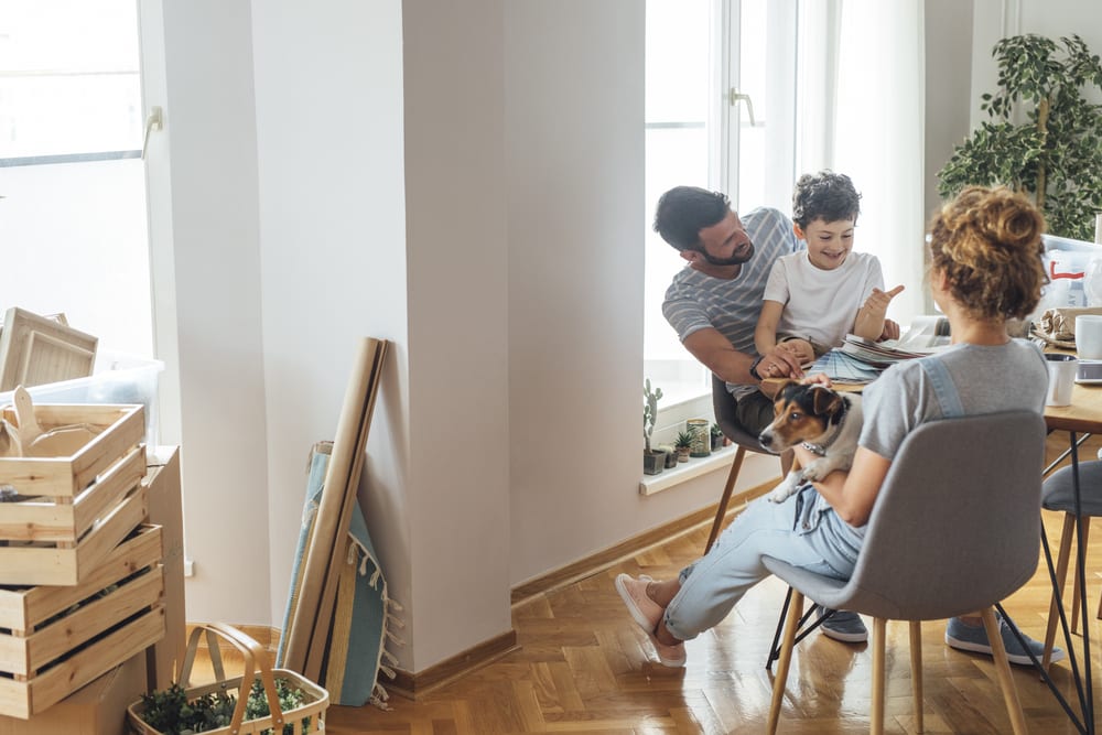primeiro filho-cachorro-apartamento-loft