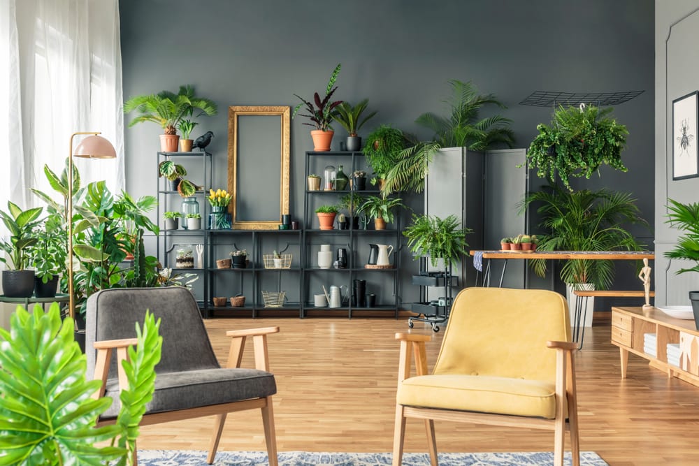 salas-decoradas-urban-jungle-loft